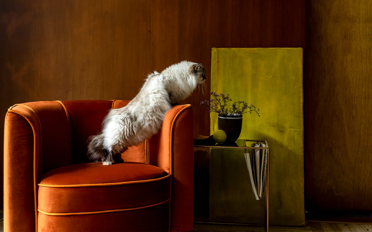 Warmer Interior-Moment mit orangefarbenem Sessel von Dutchbone